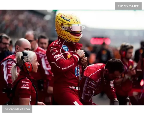 迈凯伦车队拥有51家合作伙伴，成目前围场内赞助商最多车队